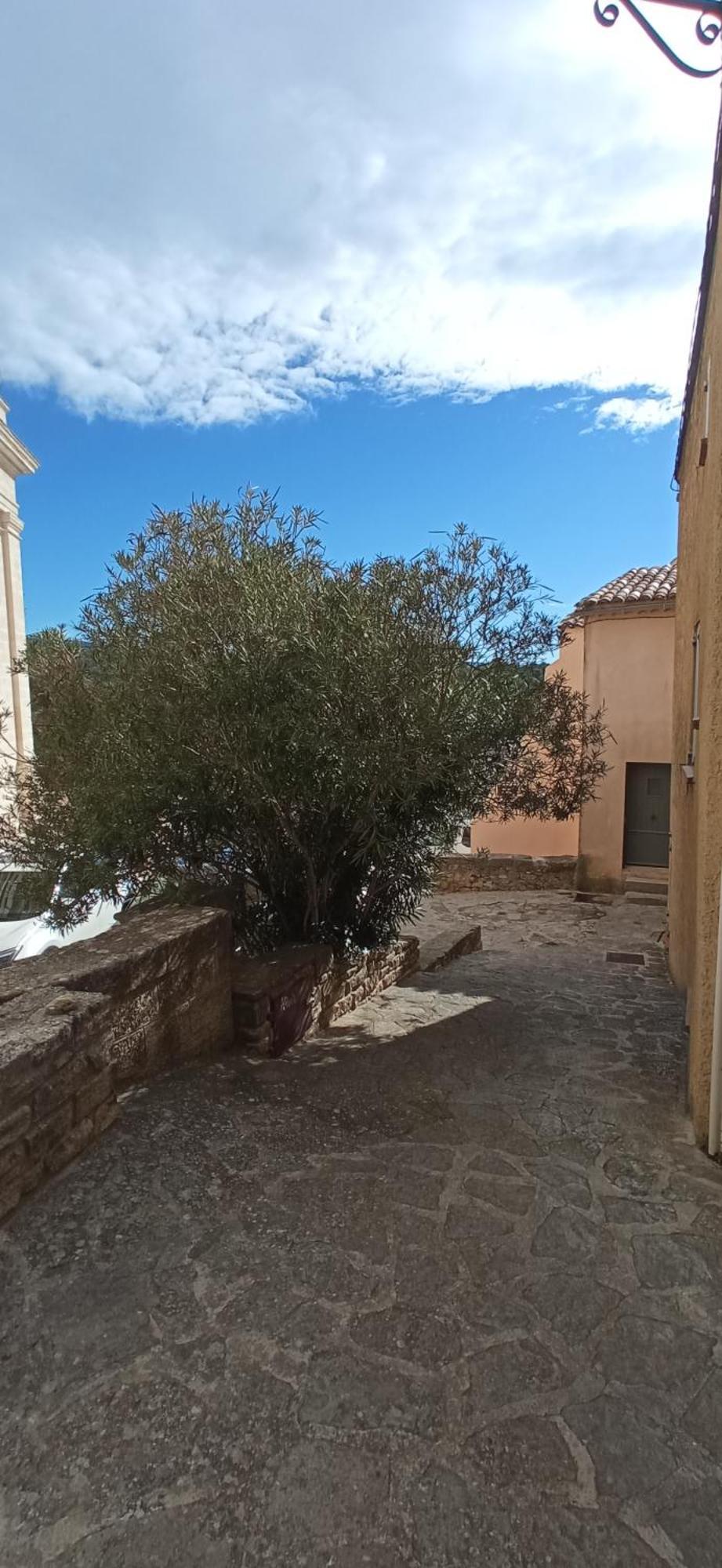 Studio Tout Confort En Provence Mont Ventoux. Bedoin Exterior photo
